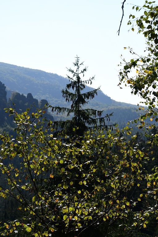 2018-10 Prague/Sächsische Schweiz/DSC_5671.JPG